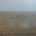 ���� �����, ������, 41 ��� - ��������� 30 ������ 2013 � ������ ����������