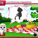  , , 24  -  7  2010   PetLove