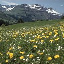 ���� ������, ����������� - ��������� 2 ��� 2012 � ������ ���� ����������