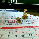 ����� ����� ���. ������ � ��������.. �� ������� �2012 - 2013�