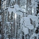 ������ � ������� �� ������� �������� �������