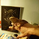 ���� �������, ���������, 43 ���� - ��������� 19 ������� 2010 � ������ ���������))�