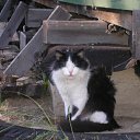 ���� �����, ������, 62 ���� - ��������� 4 ������� 2013 � ������ ���� ����������