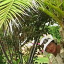 ���� ������, �����-���������, 62 ���� - ��������� 3 ������� 2011