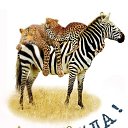 ���� �������, ���������, 35 ��� - ��������� 17 �������� 2012 � ������ �������