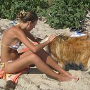 ���� ���������� ��, ��������, 41 ��� - ��������� 4 ���� 2013 � ������ ���� ����������