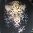 ���� ˸��, �����������, 53 ���� - ��������� 6 ���� 2012