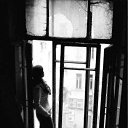 ���� ����, ������, 36 ��� - ��������� 13 ���� 2011 � ������ �PetLove�