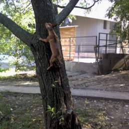 ���� ��, ������, 51 ��� - ��������� 28 ������� 2010