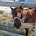 ���� ���������, ������, 62 ���� - ��������� 11 ������� 2012 � ������ ���� ����������