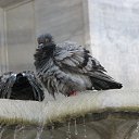 ���� ����, ���������� - ��������� 28 �������� 2011