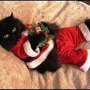   Mirror_return To River Of Flowers,  -  29  2010   