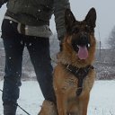  ,  -  18  2012      Ȼ