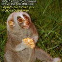 ���� �����, ������������ - ��������� 17 ���� 2010 � ������ ��������