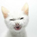 ���� ������, �����, 32 ���� - ��������� 19 ���� 2012