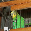 ���� ��������, �����-���������, 37 ��� - ��������� 9 ������� 2012 � ������ ������������