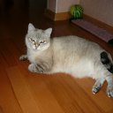 ���� ����, �����-���������, 64 ���� - ��������� 29 ��� 2012 � ������ ���� ������