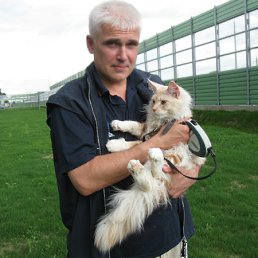 ���� ������, ���������, 62 ���� - ��������� 10 ���� 2012