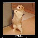 ���� Aleksandr, ��������, 47 ��� - ��������� 17 ��� 2013 � ������ ���� ����������