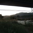  , , 41  -  13  2010   ~  ~