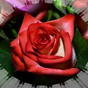 ���� ��������, ����, 65 ��� - ��������� 12 ��� 2013 � ������ ���� ����������