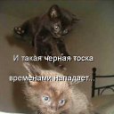 ���� �����, ������ �����, 50 ��� - ��������� 2 ������ 2009 � ������ ��������� ��������