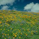 ���� �������, ����, 40 ��� - ��������� 7 ���� 2010 � ������ ������ ��� ��� )))�