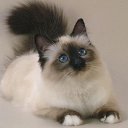 ���� ������, ��������, 75 ��� - ��������� 28 ���� 2013 � ������ ���� ����������