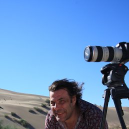 ���� ����������, ������ - ��������� 4 ������ 2013