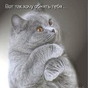 ���� �������, ������, 71 ��� - ��������� 18 ������ 2011 � ������ ���� �������� �����������