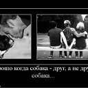 ���� ��������, ������, 36 ��� - ��������� 16 ������� 2012 � ������ ���� ����������