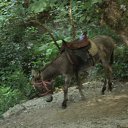 ���� �����, ������, 35 ��� - ��������� 9 ������� 2012 � ������ �������