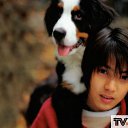 ���� �����, ��������, 33 ���� - ��������� 30 ����� 2012 � ������ �MyLove�