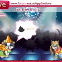 ���� ����, ��������, 23 ���� - ��������� 2 ���� 2011 � ������ �PetLove�