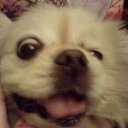 ���� ������ �����������, ������, 61 ��� - ��������� 12 ������ 2012 � ������ ���� ����������