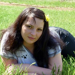 �����, 41 ���, ���������