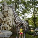 ���� ����, �����, 27 ��� - ��������� 8 ������ 2011 � ������ ��������