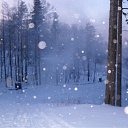 ���� ���, ����������, 37 ��� - ��������� 14 ����� 2010 � ������ �����������. ���-���� "�������� ���"�