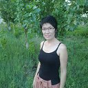  __, , 54  -  27  2013    