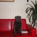 ���� Sawa, �������, 55 ��� - ��������� 20 ���� 2010 � ������ ���� ��������!�