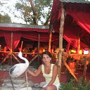 ���� �������, ������, 47 ��� - ��������� 23 �������� 2012 � ������ ���� ����������