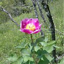  Valera, , 48  -  29  2012    