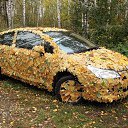 ���� �����, ������� - ��������� 29 ������ 2011