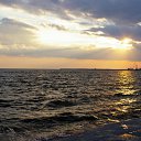  , -, 49  -  21  2010   