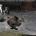 ���� �����, �������, 36 ��� - ��������� 29 ������ 2010 � ������ ���������