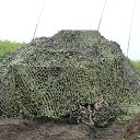 ���� �������, �����, 34 ���� - ��������� 5 ������ 2011