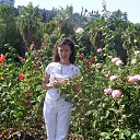 ���� ������, ����������, 59 ��� - ��������� 6 ������ 2013 � ������ ���� ����������