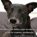 ���� ������ ����������, ���������� - ��������� 26 ������� 2012 � ������ �������
