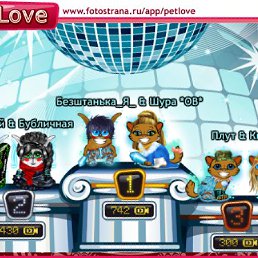 ���� ������������, �����-��������, 46 ��� - ��������� 8 ������� 2011