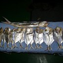  , , 40  -  8  2010   New...